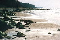 Ostseestrand (18kB)