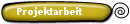 Projektarbeit